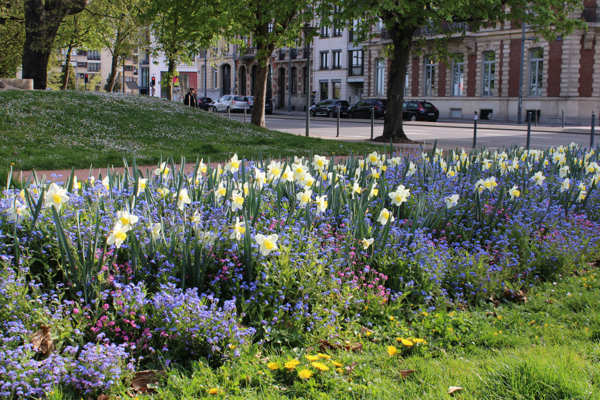 square-daubenton-lille