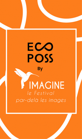 festinal IMAGINE