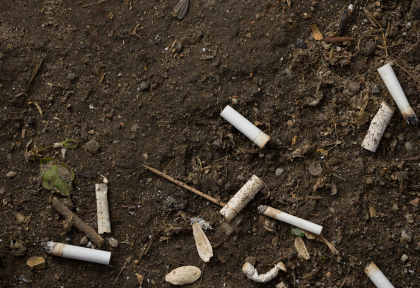 Cigarettes sol megots